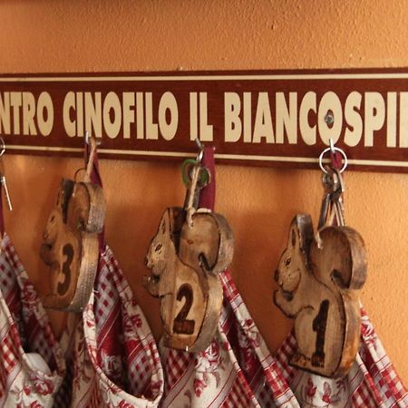 Casteggio Il Biancospino 빌라 외부 사진