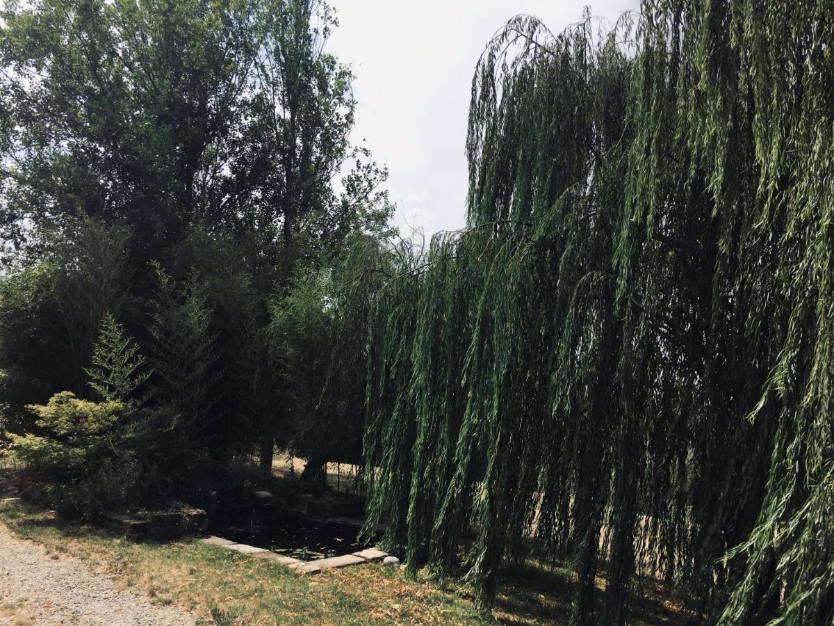 Casteggio Il Biancospino 빌라 외부 사진